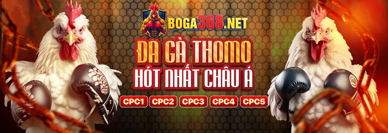 Hình ảnh chính trang chủ k9cc website chính thức